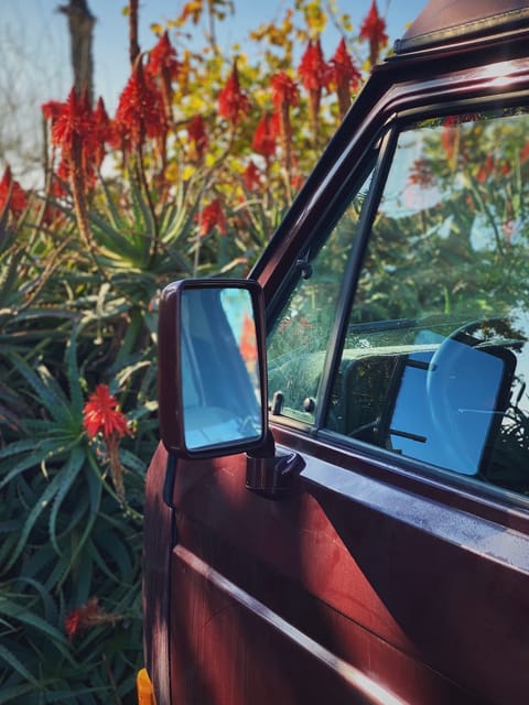 "Lost Winds" 1990 Volkswagen Westfalia Pop Top Camper - Automatic Campervan in San Clemente