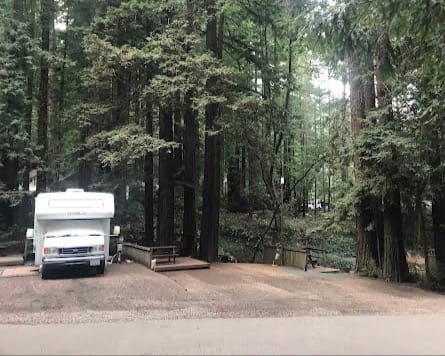 We found a great RV park in the California Redwood trees outside Henry Cowell State Park. 