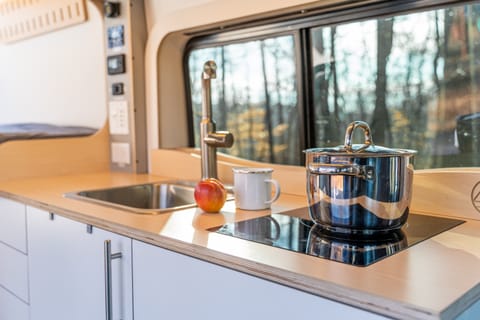 The kitchen features a single-burner induction stovetop, no need to worry about cooking fuel.  The sink has 7 gallons of fresh water and 7 gallons of gray water capacity.  