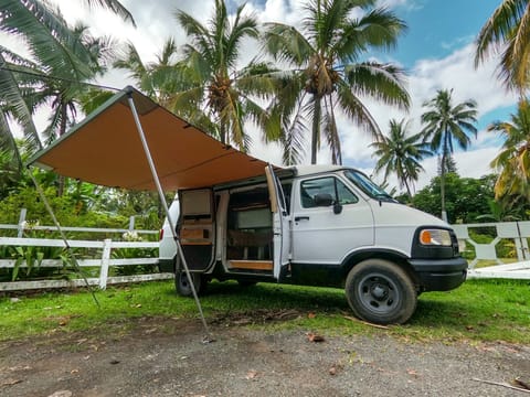 Can’t find shade? Wildflower’s awning has got you covered. Literally.