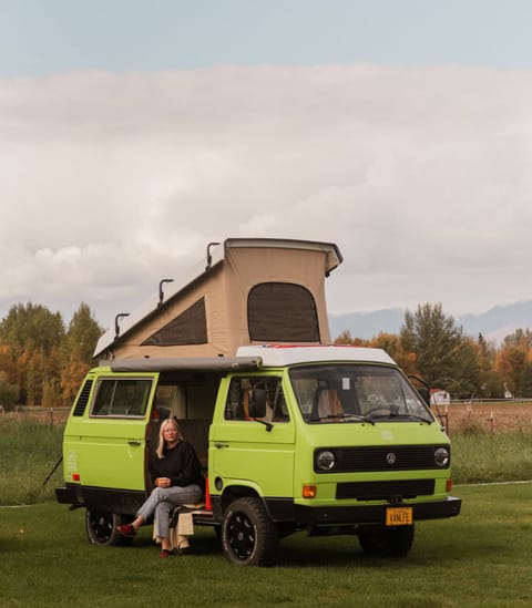 Look Like A Local - "Vincent Van-Go" VW Westfalia Pop Top Camper Van Reisemobil in Palmer