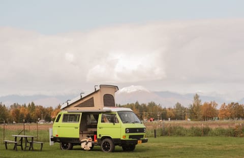 Look Like A Local - "Vincent Van-Go" VW Westfalia Pop Top Camper Van Campervan in Palmer