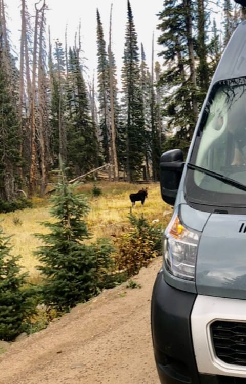 Kudu's Kabin Campervan in Highlands Ranch
