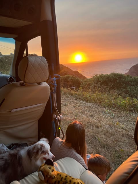 Our fur buddy enjoying California sunset