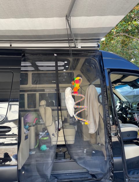 Custom screen door for van. It’s magnet. Goes up in seconds and stays up. Do easy to use. No need for a huge screen tent. 