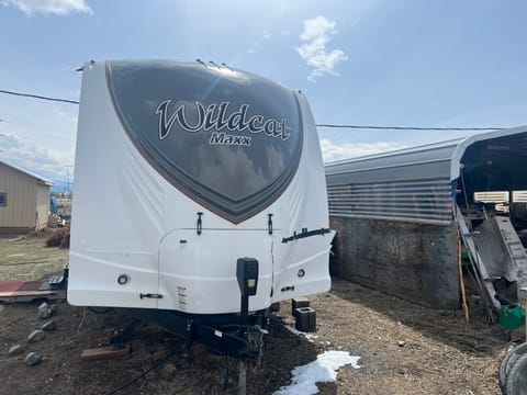 2019 Forest River Wildcat Party Rv loaded Ziehbarer Anhänger in Canyon Ferry Lake