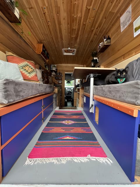 Our little black pearl enjoying fresh air from the wide open back doors! 