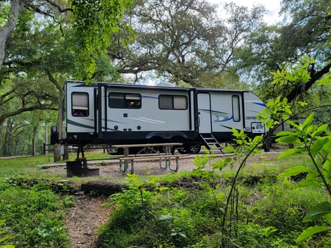 Adventure Awaits- 2019 Forest River Cherokee Alpha Wolf  (Delivery Only) Pe Towable trailer in Lakeland