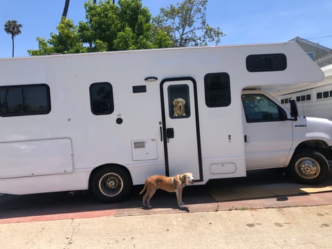 Kiki is here. All white. Dog not included with rental!! At 25 ft number to number she can fit in larger driveways.