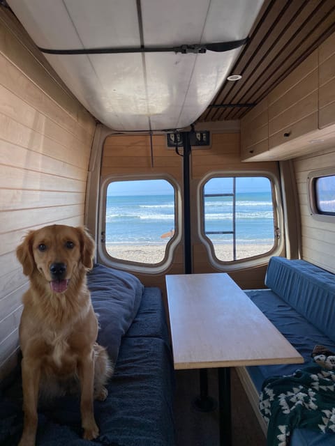 Stan the Surf Van - 2017 4x4 Mercedes Surf and Camper Van Campervan in Balboa Peninsula