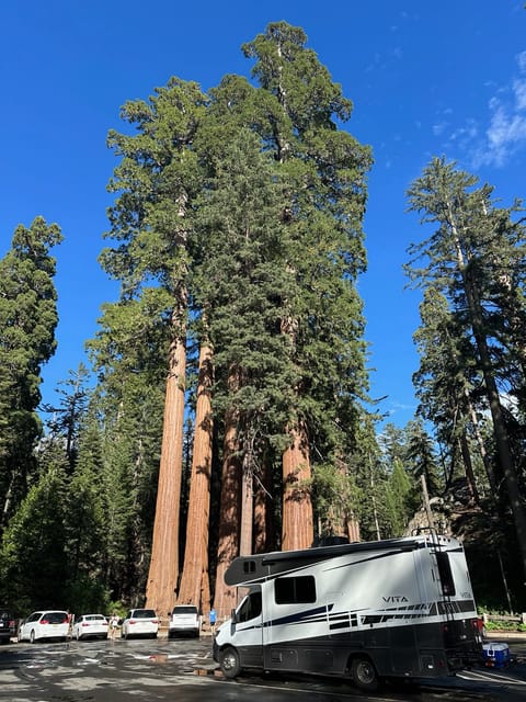 A great picture taken by one one of my guests at Sequoia National Park