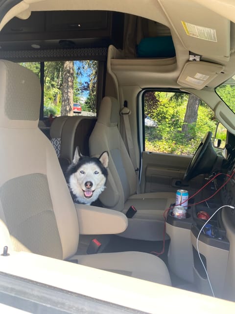 Interior of cab; very dog friendly! Our pooch prefers to sit between the seats. 