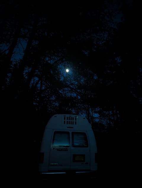 Back doors open and you can sit/lie on bed and look out at nature. Storage underneath bed/couch.