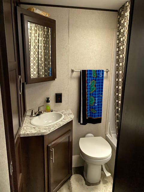 Toilet and sink with cabinet storage next to sink