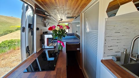 LUXURY MERCEDES CAMPER VAN | Kitchen, Shower, Solar, Murphy bed.. Campervan in Concord