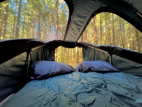 Climb in your cozy Roof top tent, Ideal for 2 Adults and a Child.
Pillows, sleeping bags and bed linens are provided.
