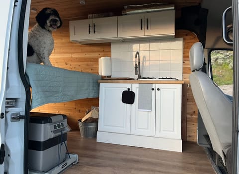 Mountain Dog Rental Camper Van Campervan in Farmington