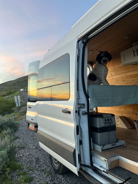 Mountain Dog Rental Camper Van Campervan in Farmington