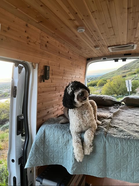 Mountain Dog Rental Camper Van Campervan in Farmington