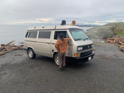 1986 VW Westfalia “Izzy” 