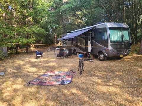 Old faithful Drivable vehicle in Coos Bay