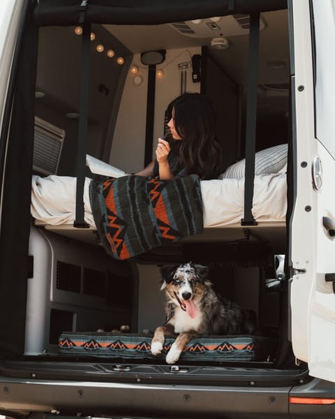 Explore Beyond Boundaries with VanGo | 4x4 | Pet Friendly Drivable vehicle in Menifee
