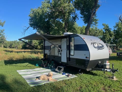 2020 Forest River Cherokee Wolf Pup 16FQ - "Wolfie" Towable trailer in Detroit Lakes