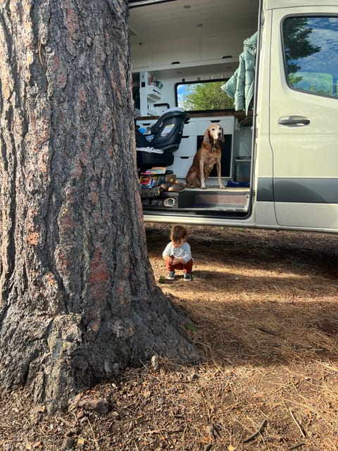 VAN DE WILLIAMS Campervan in Vancouver