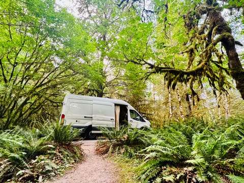 Enchanting Cabin on Wheels for Romantic Woodsy Campouts Drivable vehicle in Fort Wayne