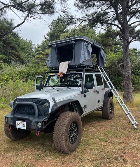 Silver Jeep Wrangler RV in Lihue