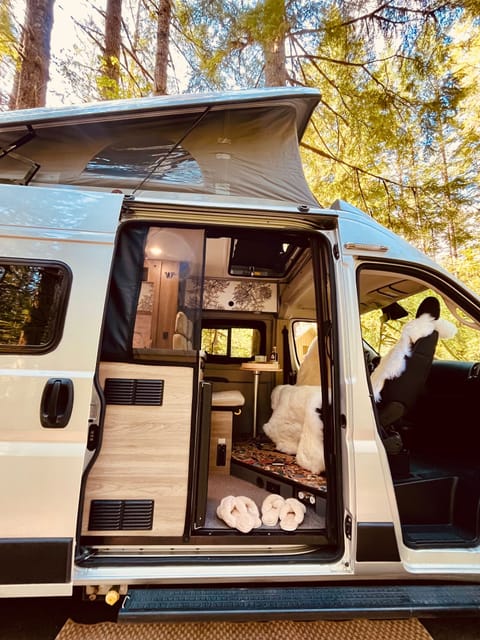 New Fluffy slippers for each guest, of course and spin around chairs for more comfort to put your feet up after a day hiking 