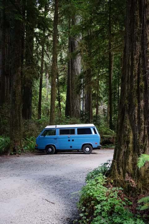 Amulet - 1981 Volkswagen Vanogon Westfalia Pop Top Camper Van Campervan in Dana Point