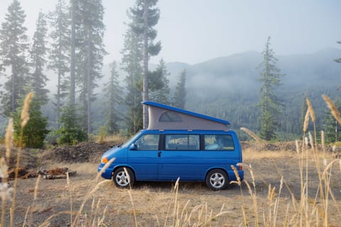 Dory Campervan in Bainbridge Island