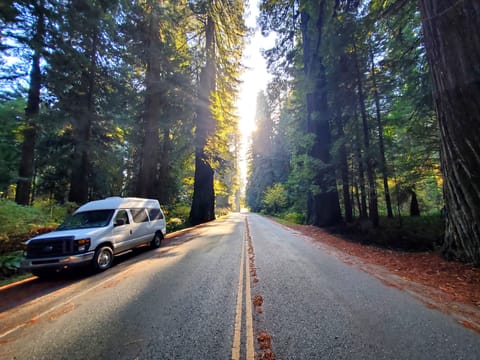 VAN RENTAL Campervan in Santa Cruz