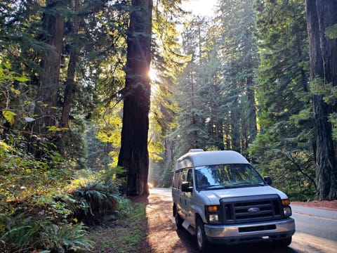 VAN RENTAL Campervan in Santa Cruz