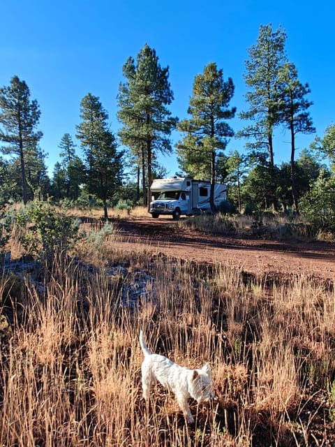 RV Rental Based in Albuquerque, NM Sleeps 10 Drivable vehicle in Albuquerque