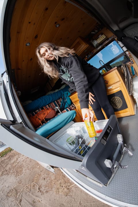 Cozy Adventure Van Campervan in Santa Rosa