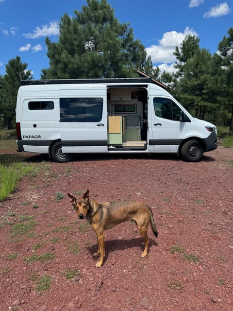 JAN VAN Drivable vehicle in Desert Ridge