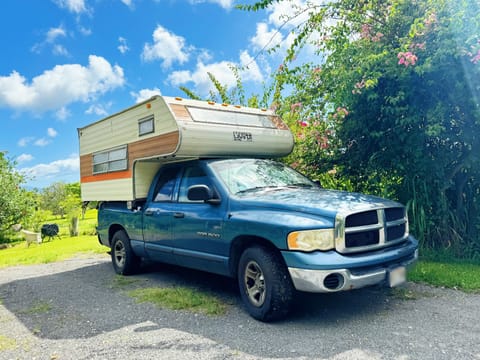 Tails & Trails RV Drivable vehicle in Kaimuki