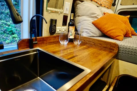 Raquel | 2019 Mercedes Sprinter by Raft Tiger Campervan in Fletcher