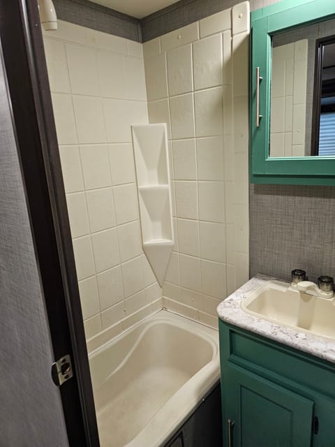 Bathroom toilet and shower