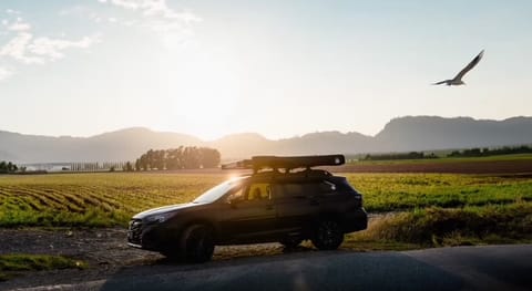 "Subie-Doo" Roof Rack Mounted Tent for 2 (2023 Subaru Outback) Drivable vehicle in Pitt Meadows