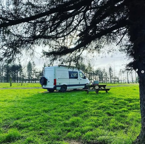 Squirrel Patrol Campervan in Oakland