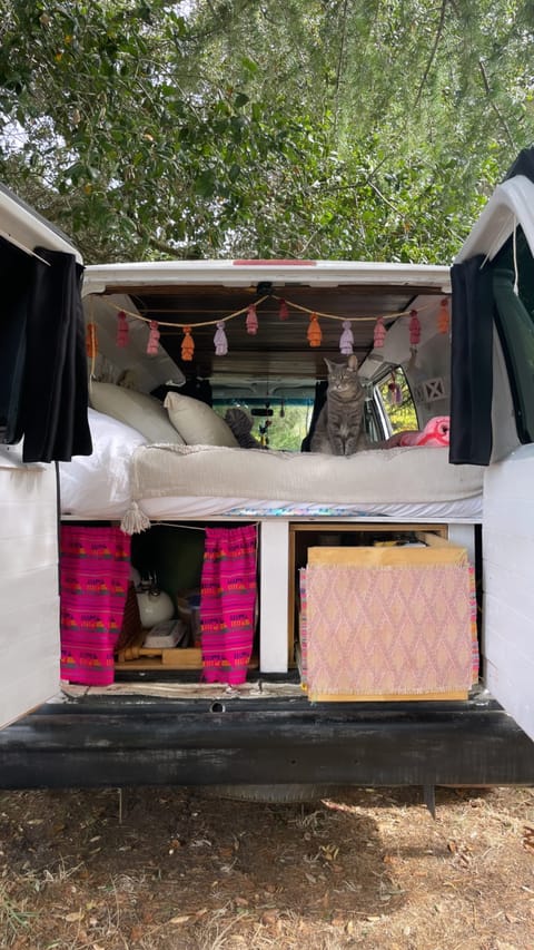 Camper van Ford E 150 Campervan in Sonoma County