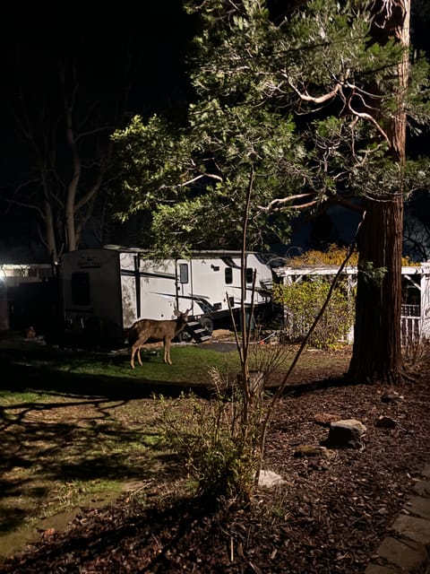 Lovely camp trailer! Towable trailer in The Dalles