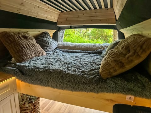 Starlight Theater — Solar Cinema on Wheels (Unlimited Miles!) Campervan in Hillsboro