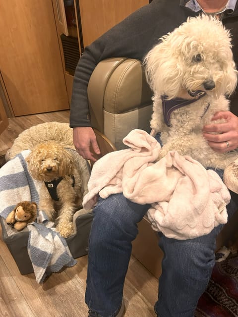 Thor Four Winds Fun! Drivable vehicle in Pacifica