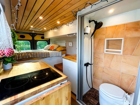 Luxury Dodge Promaster 2500 - Stealth Camping or Off-Grid! Campervan in Eagle