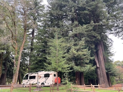 Thor Axis 25' with eBikes and Starlink Drivable vehicle in Santa Rosa