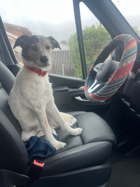 Ad-VAN-Ture Awaits with Vaughn! (4WD + FurFriendly) Drivable vehicle in San Leandro